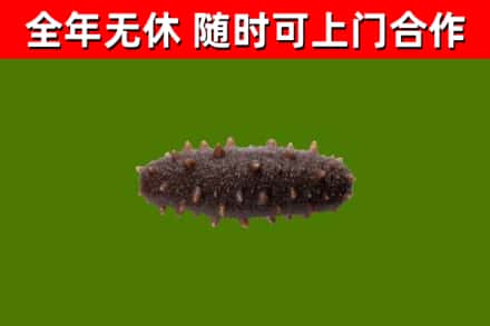 延津烟酒回收干海参.jpg